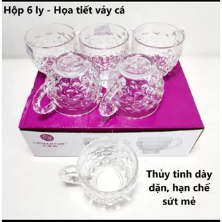 Bộ 6 ly thuỷ tinh có quai cầm vảy cá