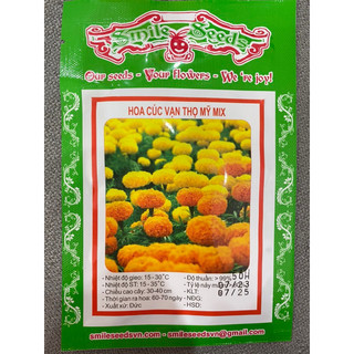 Hạt giống Hoa Cúc Vạn Thọ Mỹ ~200H Hạt