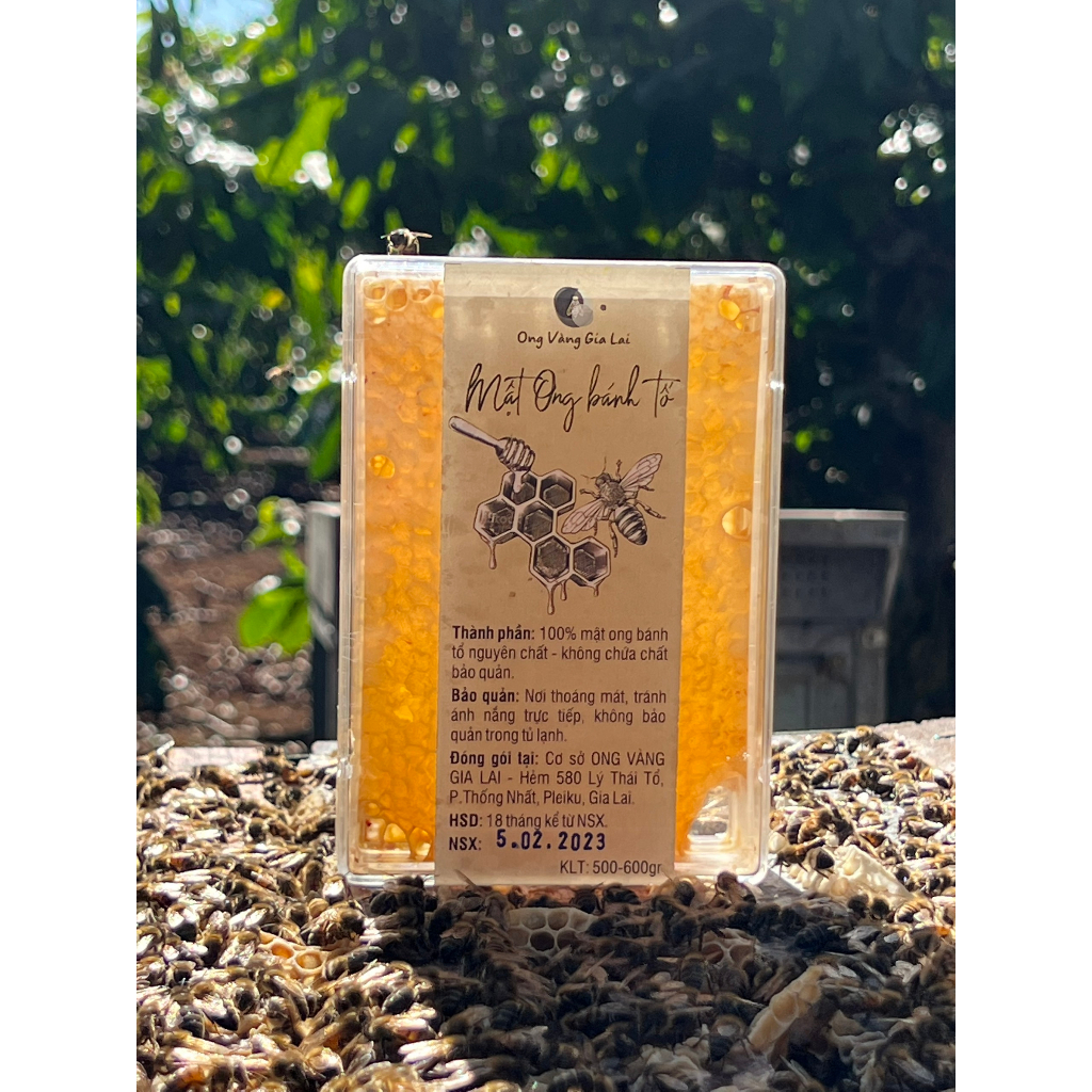Mật Ong Bánh Tổ Tươi Nguyên Sáp Đóng Hộp 500gr -  Lensoigialai