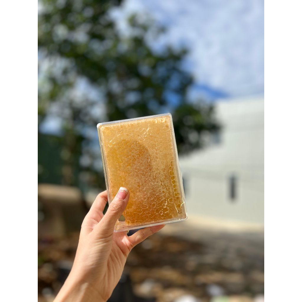 Mật Ong Bánh Tổ Tươi Nguyên Sáp Đóng Hộp 500gr -  Lensoigialai