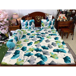 [1M8*2M nệm cao 5-15cm] bộ ga thun lạnh Hàn quốc 4 món