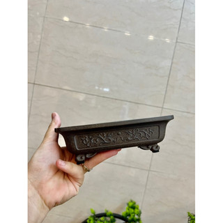 Chậu Cây Bonsai Mini Tàu