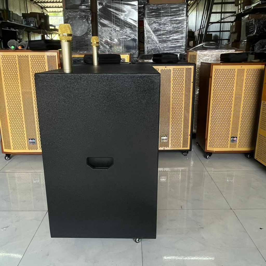 Loa Kéo Di Động 40 Đôi Kèm 2 Miro - Dàn Karaoke Ngoài Trời Bass 40 Col 51 Từ 140, 2 Trep 250