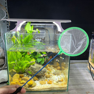 Vợt cá , vợt cá mini