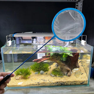 Vợt cá , vợt cá mini