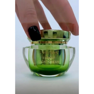 Phyris Forest Light Cream