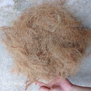 100g chỉ xơ dừa phủ mặt đất, quấn rễ cây, làm đồ thủ công,...