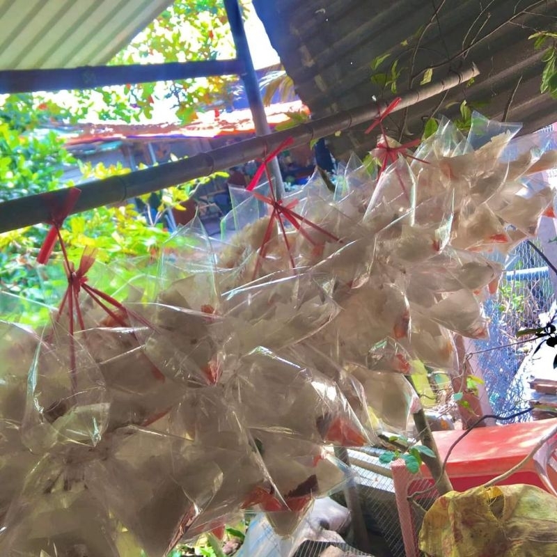 Bánh tráng xâu dầu_muối_12bịch