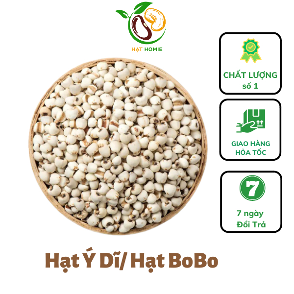 Hạt Ý Dĩ, Hạt Bo Bo Đã Tách Vỏ Dùng Nấu Chè, Nấu Cháo Ăn Dặm 500g