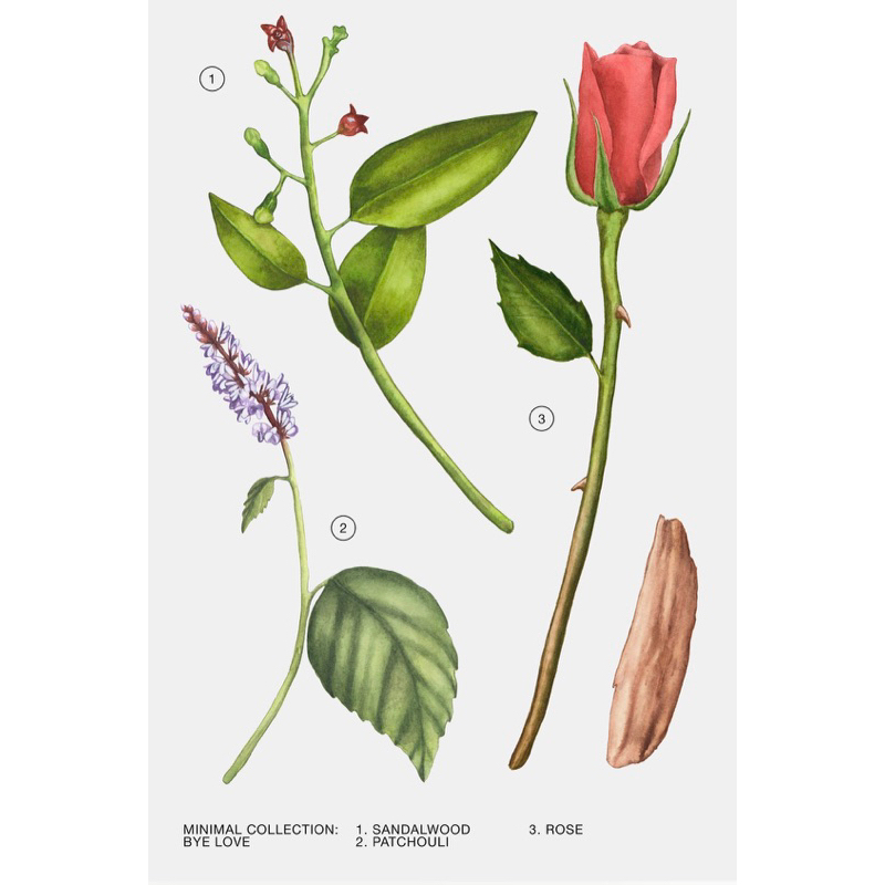 NƯỚC HOA ZARA BYE LOVE