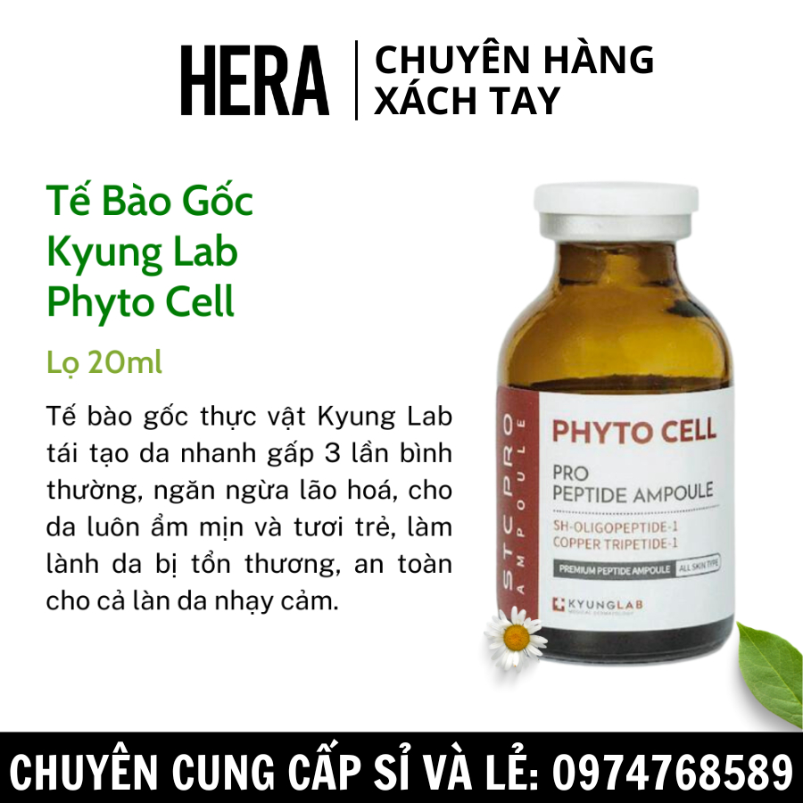 Tế bào gốc KyungLab Phyto Cell 20ml