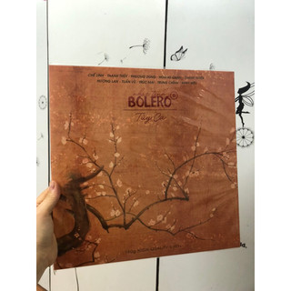 Đĩa than bolero tuý ca nổi tiếng ca khúc hay đi cùng năm tháng