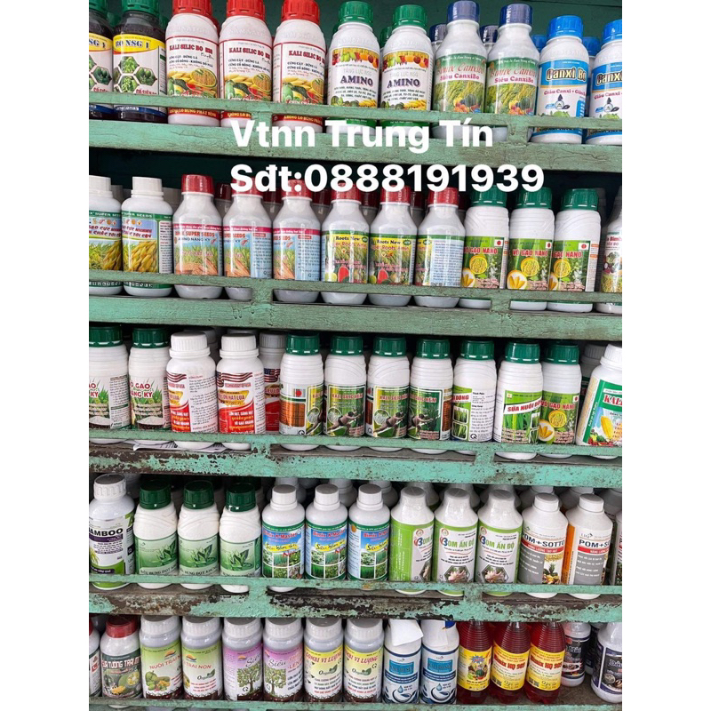 GA3 GOLD - SIÊU VỌT ĐỌT - BUNG CHỒI - MẬP CHÈO  NGUYÊN LIỆU NGOẠI NHẬP SIÊU ĐẬM ĐẶC