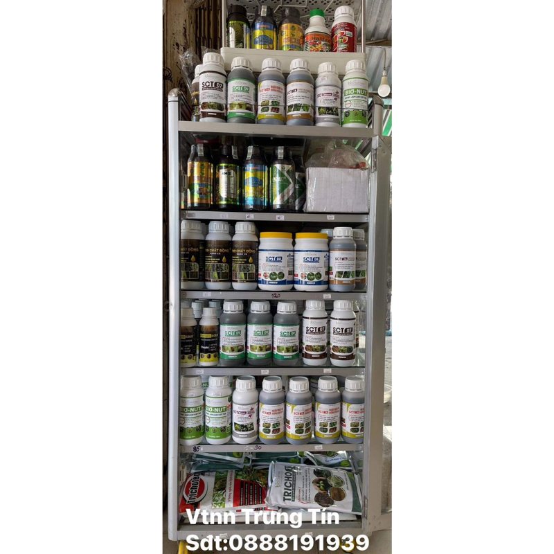 GA3 GOLD - SIÊU VỌT ĐỌT - BUNG CHỒI - MẬP CHÈO  NGUYÊN LIỆU NGOẠI NHẬP SIÊU ĐẬM ĐẶC