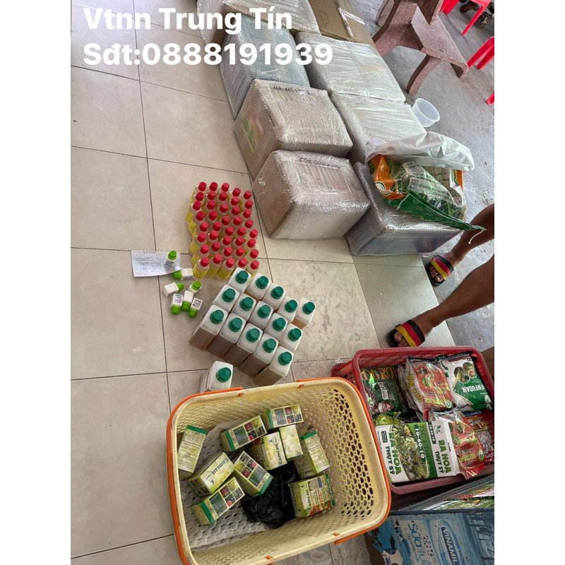 GA3 GOLD - SIÊU VỌT ĐỌT - BUNG CHỒI - MẬP CHÈO  NGUYÊN LIỆU NGOẠI NHẬP SIÊU ĐẬM ĐẶC