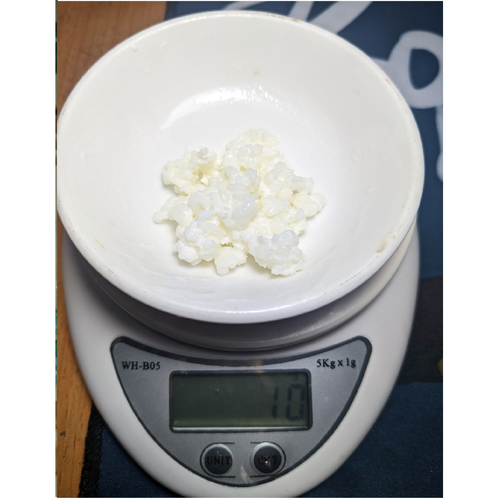 Nấm sữa kefir, sale 40% mừng shop trở lại , Bảo hành nấm đến tay khách hàng.