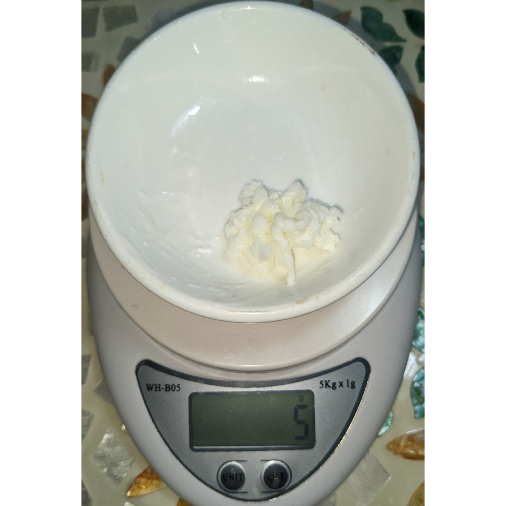 Nấm sữa kefir, sale 40% mừng shop trở lại , Bảo hành nấm đến tay khách hàng.