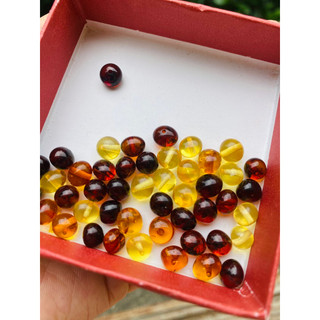 Combo 3 hạt vòng ho phach Thiên Nhiên, Hạt to
