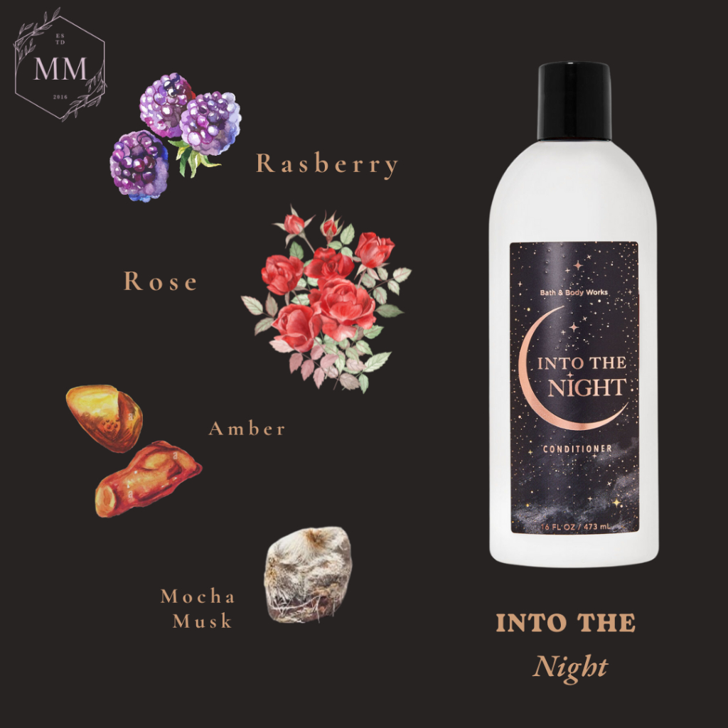 Into the Night Champagne Toast A Thousand Wishes - Bộ sản phẩm dầu xả dầu gội Bath & Body Works
