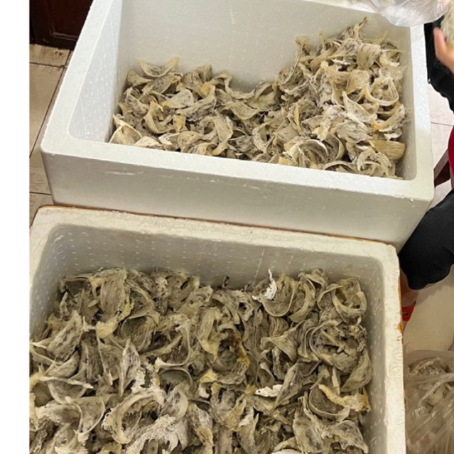 Tổ yến thô loại 1 tặng kèm nhíp, yến sào Phương Mai, yến nhà nuôi