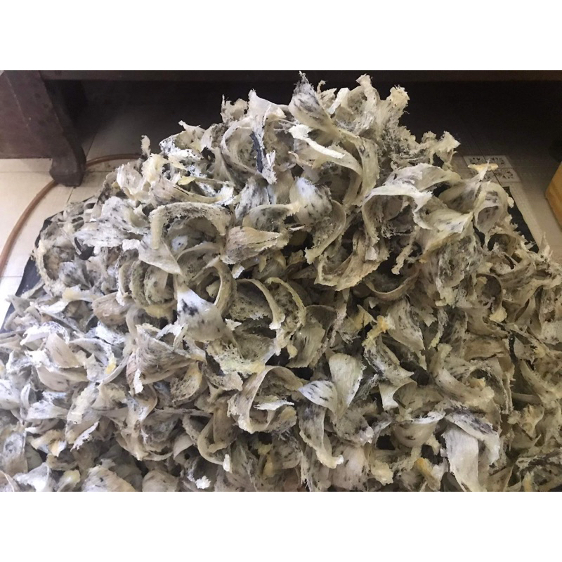 Tổ yến thô loại 1 tặng kèm nhíp, yến sào Phương Mai, yến nhà nuôi