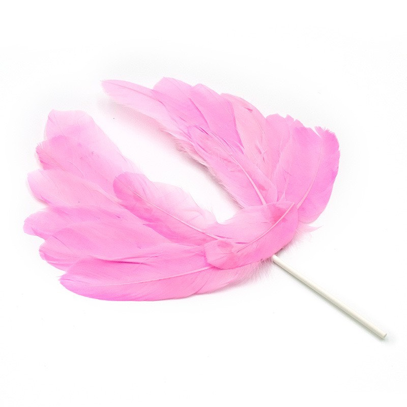 - Cánh Thiên Thần - Trang trí bánh sinh nhật bánh kem