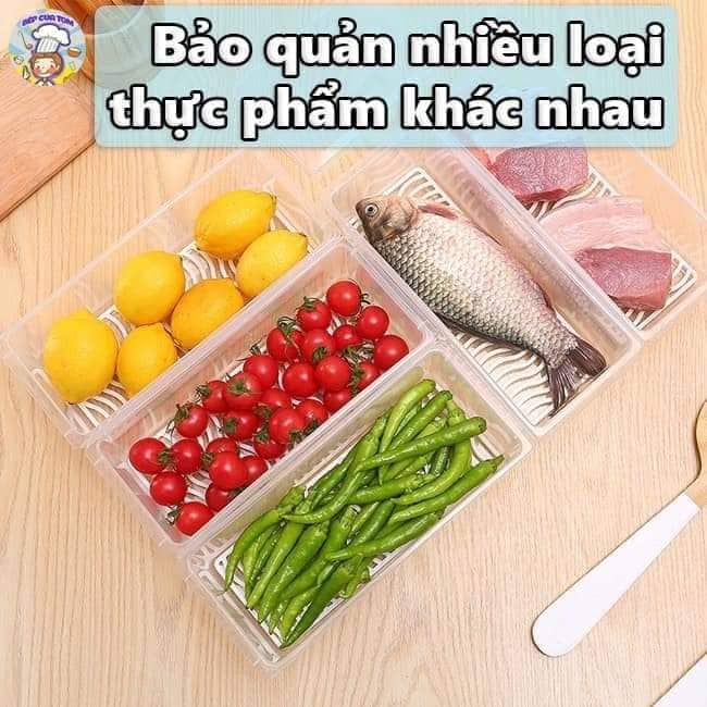 Hộp Đựng Thực Phẩm Hoa Quả,Thức Ăn, Rau Củ Có Khay Để Tủ Lạnh Bằng Nhựa PP An Toàn Cho Sức Khỏe Hàng Việt Nhật (H-6586)