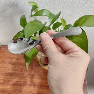 Thìa inox 304 Zwilling Đức