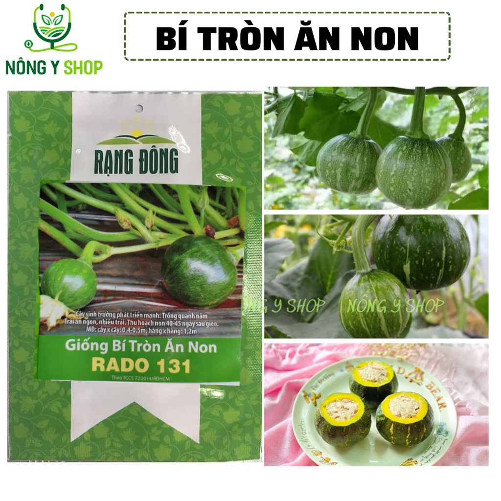 Hạt giống các loại bí đỏ, bí ngô Rạng Đông, bí hạt đậu, bí đỏ da xanh, bí ngô mặt trời, bí đỏ tròn, bí ăn non, fancy, mì