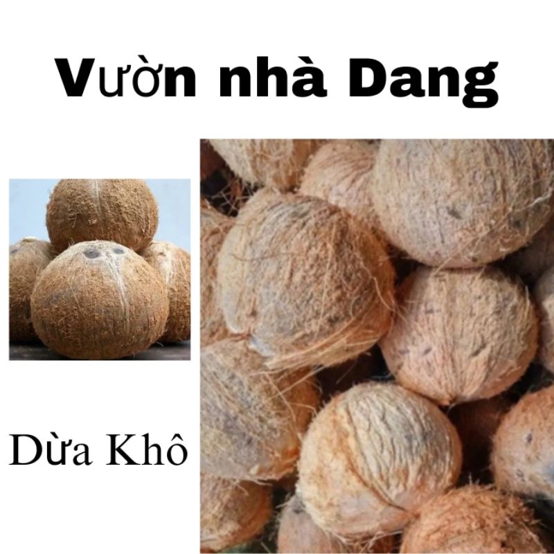 🌴🌴1 trái dừa khô loại 1 trên 1kg  đã gọt vỏ to trên 1kg y hình🌴🌴