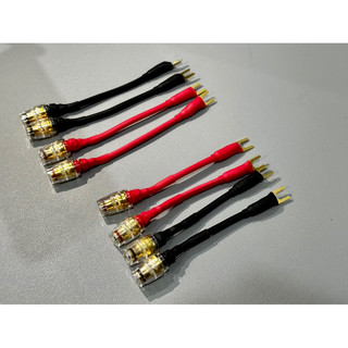 Chuyển jack loa càng cua 8mm sang bắp chuối DIY