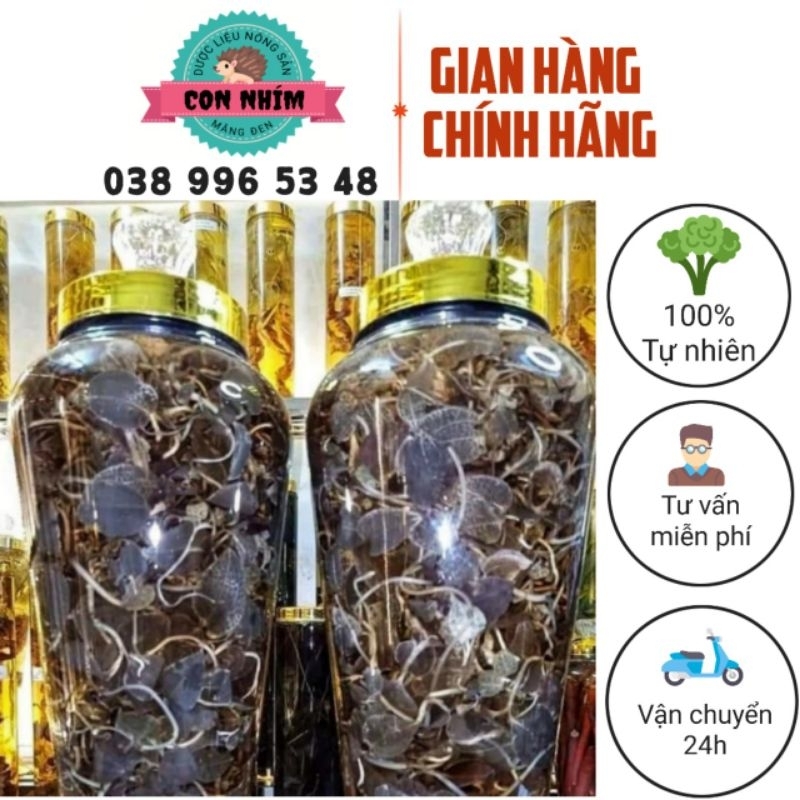 Lan kim tuyến  rừng tươi ngâm rươu