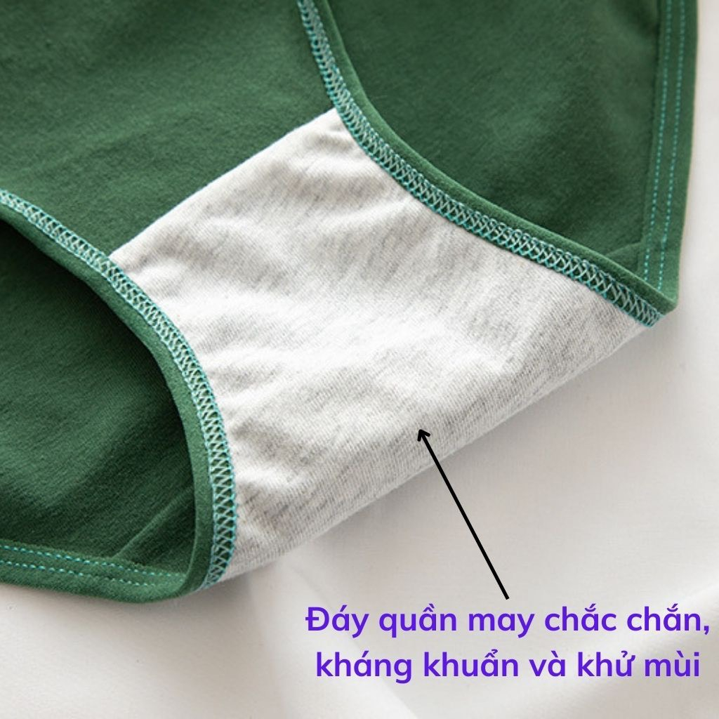 Quần lót gấu cute 100% cotton thoáng khí kháng khuẩn