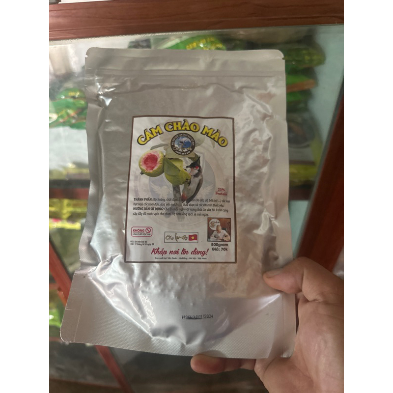 Cám vũ béo chim chào mào lão đại