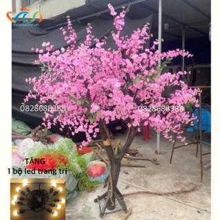 Cây Đào mai giả thân gỗ tự nhiên VUADECOR trang trí decor cao cấp cao 2m