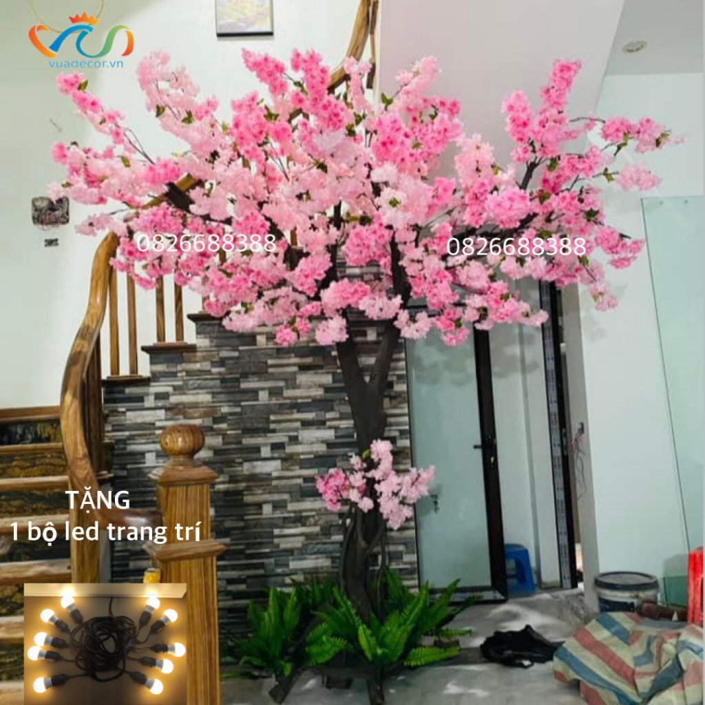 (TẶNG BỘ LED) Cây Anh đào nhật giả thân gỗ tự nhiên VUADECOR trang trí decor cao cấp cao 2m