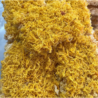 Túi 300g cơm cháy siêu chà bông Phú Yên cực ngon