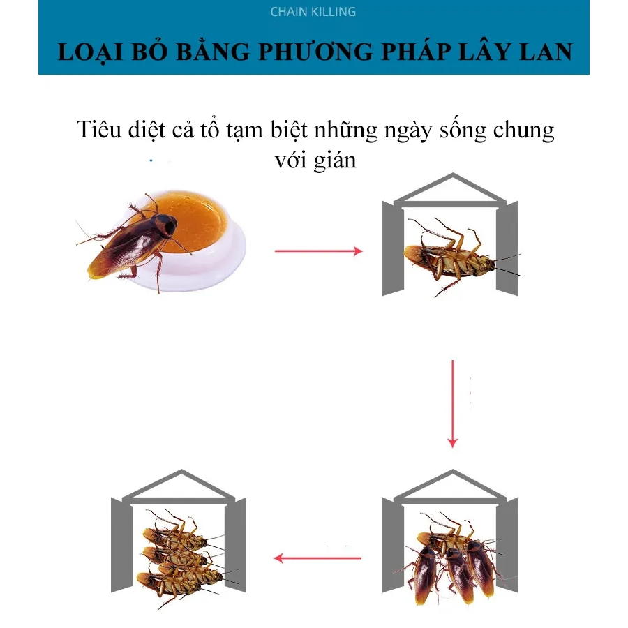 Diệt gián 8 viên - Diệt sạch gián, khử mùi hôi khó chịu