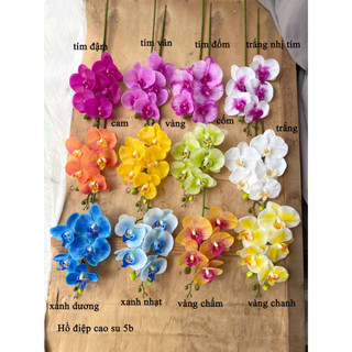 Hoa Giả 🌺 Lan Hồ Điệp Cao Su 5 Bông