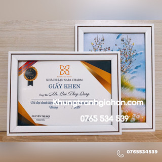 Khung bằng khen , khung hình , khung ảnh, mica trong giá rẻ