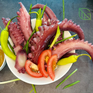 Râu bạch tuộc khổng lồ| râu tuộc đỏ greenmeat loại 1 - khay 1kg - ship hoả tốc quanh hà nội!