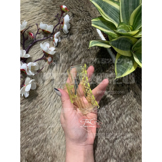 Kẹp Tóc/cạp tóc mẫu vuông nhiều màu