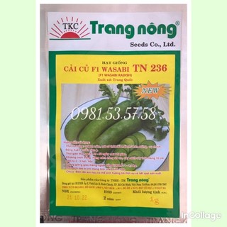Hạt giống củ cải xanh wasabi (củ cải kim chi) gói 1gram