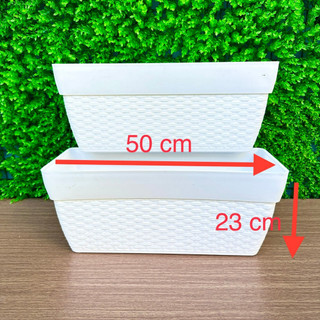 Combo 02 chậu mây đan chữ nhật 50 x h21 x 23cm trắng - chậu trồng cây cao cấp chậu nhựa á đông