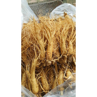 Sâm tươi 10 củ\kg _ bán kg; nhân sâm tươi hàn quốc; ngâm bình; ngâm mật; quà tặng; quà biếu