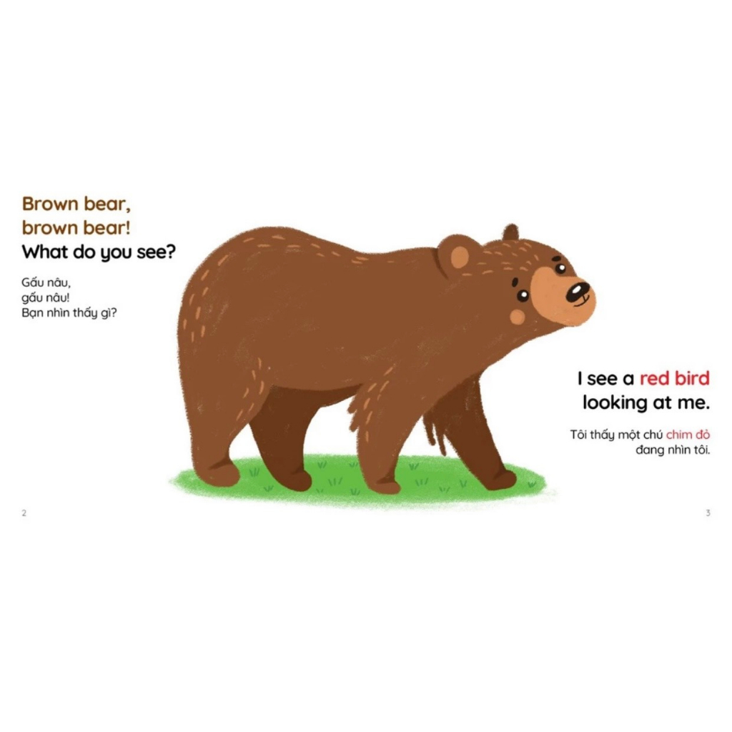 Sách -Combo 4 cuốn Brown bear, brown bear! What do you see?