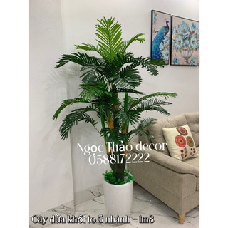 Cây giả, cây dừa khối 5 nhánh 1m8 giả, Ngọc Thảo decor