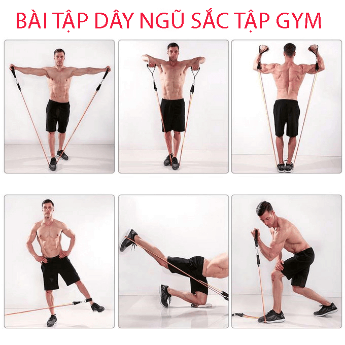 Bộ dây tập gym ngũ sắc VIET MART bộ tập chuyên nghiệp đàn hồi cao cấp 11 món, đàn hồi tập thể hình, tập kháng lực