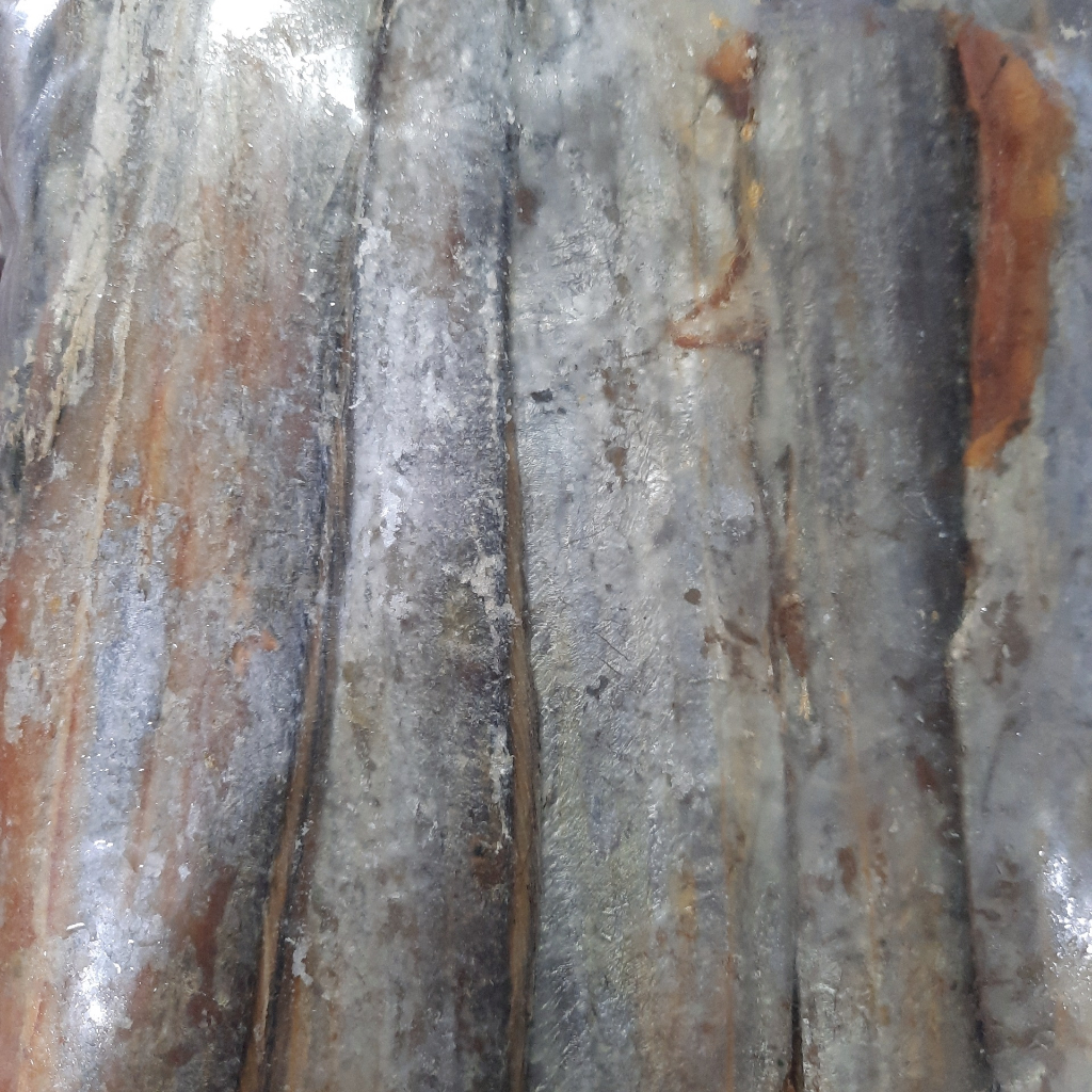 1kg cá hố khô 1 nắng - đặc sản Phú Yên