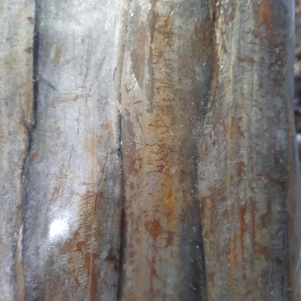 1kg cá hố khô 1 nắng - đặc sản Phú Yên